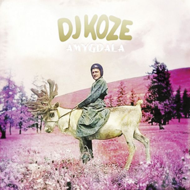 Dj Koze: Amygdala