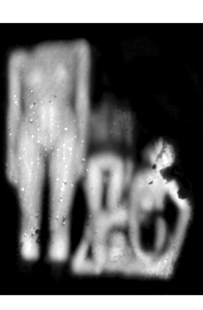 Ena od fotografij iz serije Body. Made in me (175 x 140 cm, 2011), na kateri so dobro vidne kroglice sline, ki so se oprijele fotografskega papirja. 