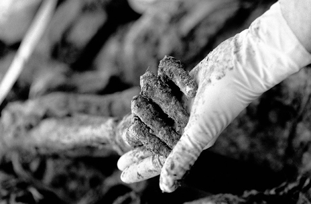 Tarik Samarah, Kamenica pri Zvorniku, serija fotografij Srebrenica, 2002.