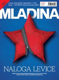 Mladina 17 | 2013