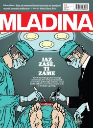 Mladina 19 | 2013