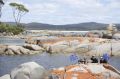 Goreče pričakovanje v Bay of Fires, Tasmanija, Avstralija / Foto Anka, Silvo, Ondina in Majda