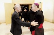 Krašovec vrača udarec