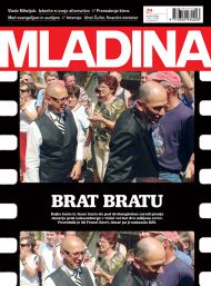 Mladina 29 | 2013