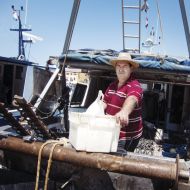 Vlado: »Morje in ribe.«