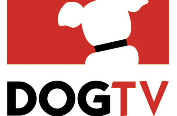 DOGTV