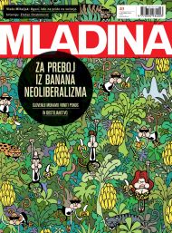 Mladina 40 | 2013