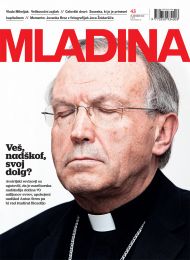 Mladina 43 | 2013