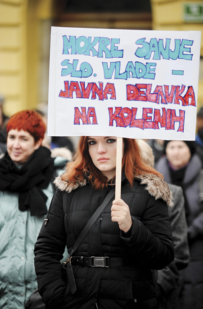 Stavka javnega sektorja, Ljubljana, januar 2013 