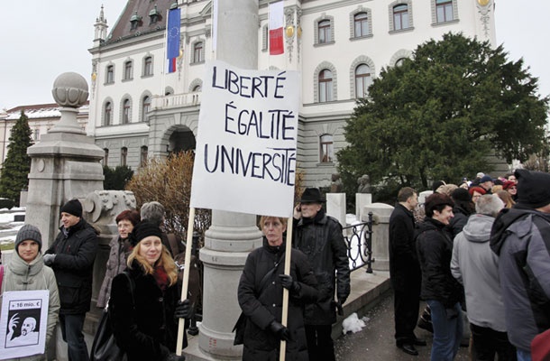 Stavka javnega sektorja 23. januarja 2013 v Ljubljani