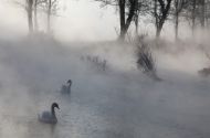 Sonce in megla Janeza Bogataja