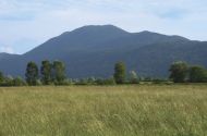 Krim: ponosni očak nad Ljubljano