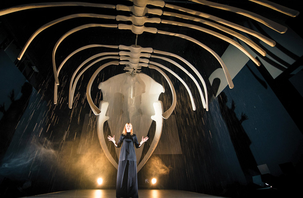 Marina Abramović ali kako sem izgubil pot do Antigone, premiera predstave režiserja Matjaža Bergerja, APT Novo mesto in Drama Ljubljana