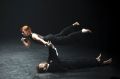 Marko Brecelj, Torej v Vršac, Primorski poletni festival, Koper