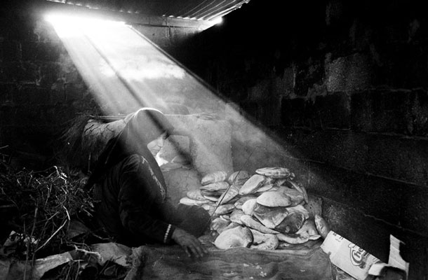 Žena kmetovalca iz okolice Msabaha v Rafi med peko kruha