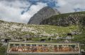 Živali 1914–1918, razstava, Društvo za domače raziskave, koča na Mangartskem sedlu 