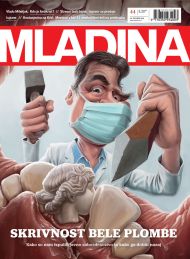 Mladina 44 | 2014