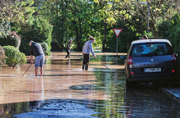 Ljubljana v lastnem zosu