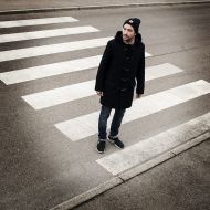 Maček in zebra