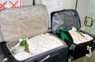 Na khat so slovensko javnost prvič opozorili brniški cariniki, ki so pri vstopnem nadzoru potnikov januarja letos v prtljagi dveh potnikov odkrili ponekod prepovedano drogo khat. Skupaj so našli kar 71 kilogramov te rastline, katere listi in vršički stebel pri žvečenju povzročajo učinke, ki so podobni učinkom stimulativne droge amfetamin. 