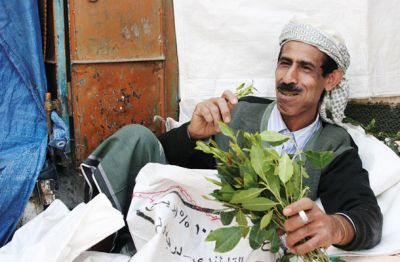 Khat je sicer za Slovence dokaj neznana grmičasta rastlina, ki pa je kot rekreacijska droga zelo razširjena v nekaterih arabskih in afriških državah, pojavlja pa se tudi v nekaterih evropskih velemestih kot droga etničnih manjšin