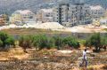 Gradnja ene izmed mnogih judovskih naselbin na palestinski zemlji