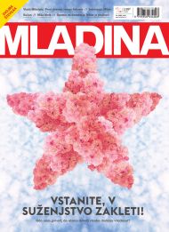 Mladina 17 | 2015