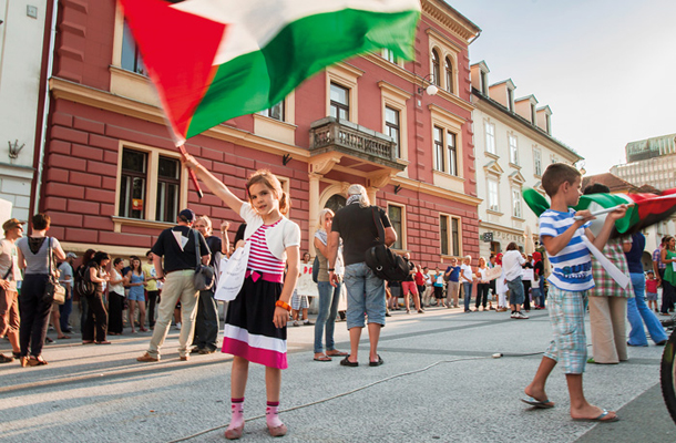 Eden izmed shodov v podporo Palestine 