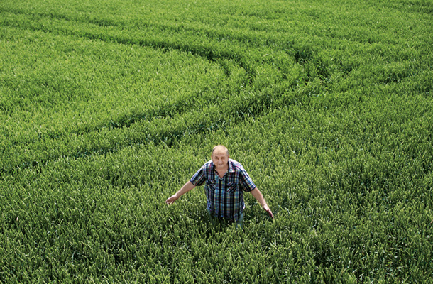 Franc Štih med svojim posevkom Syngentine pšenice