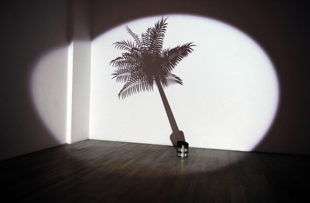 Razstavljena je tudi Fiškinova instalacija Miss Christmas (2012), kjer senca pločevinke vzbrsti v cvetlični lonček s palmo