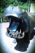 ZOO, Verona, Italija / Foto Marjana Kožuh