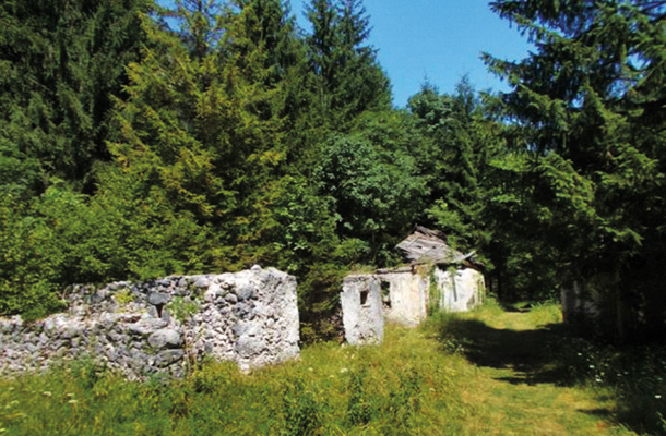 Ruševine na »Janševi« parceli