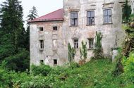 Netopirji, rešitelji kulturne dediščine