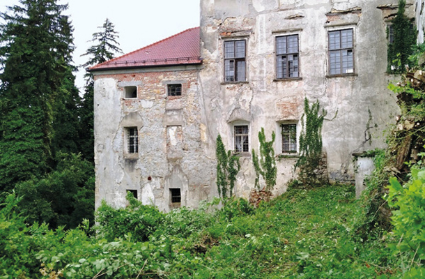 Pozabljeni, propadajoči grad Borl