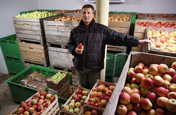 Renato Kocbek, sadjar: »Dobro je, da se v Dobrini združujemo mali kmetovalci in prek zadruge skrbimo sami zase. V tej državi moramo poskrbeti za zdravo hrano, kajti, verjemite mi, močni veletrgovci so povzročili, da vsak dan jemo slabšo, bolj zastrupljeno hrano.«