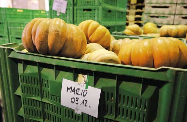 Agraria si je pridobila zaupanje kmetovalcev tudi zato, ker od kmeta odkupi zelenjavo takoj, ko jim jo pripeljejo in nase prevzame vso odgovornost pri prodaji