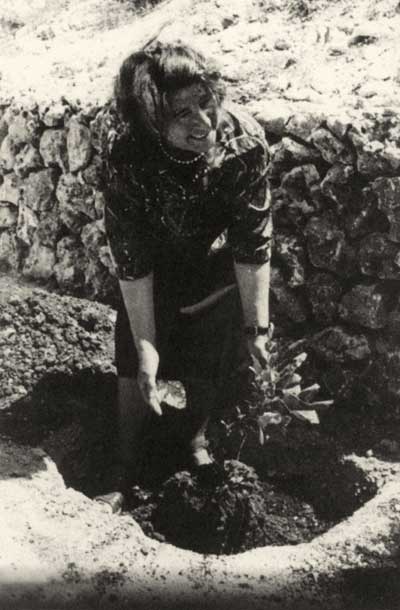 Zora Pičulin