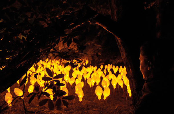 Sophie Guyot: 1000 Luces, festival Svetlobna gverila: Narava, Botanični vrt, Ljubljana