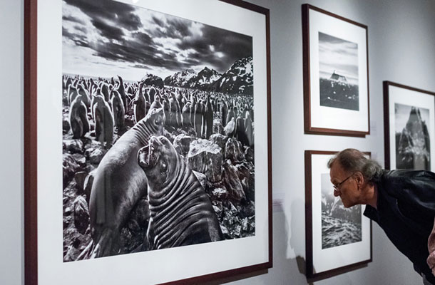 Sebastião Salgado: Geneza, Mestni muzej, Fotonični trenutki – mesec fotografije 2016, Ljubljana