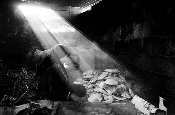 Žena kmetovalca iz okolice Msabaha v Rafi med peko kruha (fotografija je iz reportaže Jošta Franka o kmetovanju na frontnih črtah v Gazi, za katero je na festivalu NaprejForward leta 2014 prejel nagrado) 