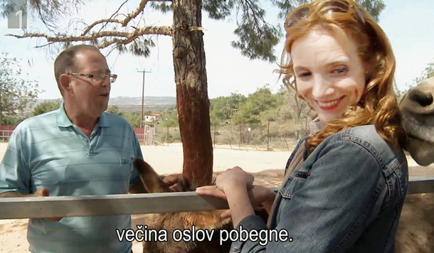 Štoparski vodnik po Mojčino