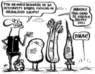 Izjave tedna