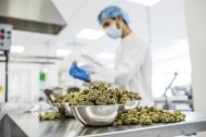 Soglasna legalizacija