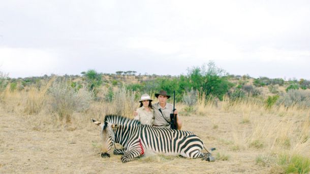Safari