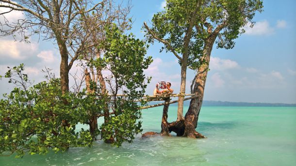 Andamanski in Nikobarski otoki v odlični kombinaciji s kokosom, Indija