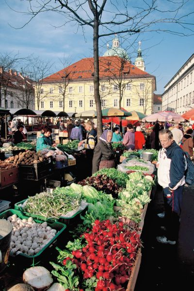 Prostorska stihija in kramarstvo sta največji težavi glavne ljubljanske tržnice, vendar ju je mogoče rešiti s preprostimi organizacijskimi ukrepi