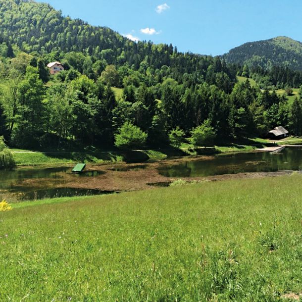 Zapuščen »biser pod Uršljo goro«