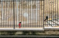 » Rastafari playground «