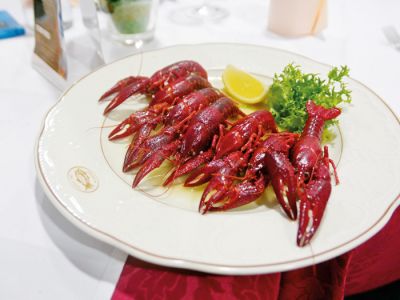 Potočni raki