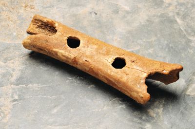 Neandertalčeva piščal iz Divjih bab velja za najstarejše glasbilo na svetu. Stara je 60 tisoč let, hrani pa jo Narodni muzej Slovenije